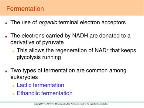 terminal electron acceptor in fermentation